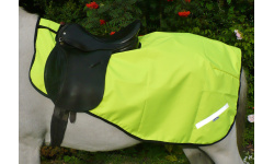 10_exercise_sheets_1163142879