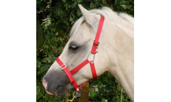 10_miscellaneous_1339843595