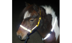 10_reflective_products_1410922488