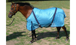 1_flysweet_itch_rugs