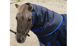 1_neck_covers__hoods