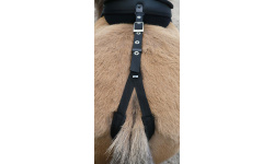 5-riding-accessories