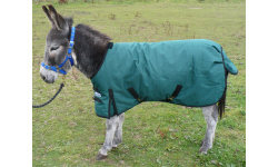 9_donkey_rugs_1046281128