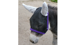 9_fly_protection_423585185