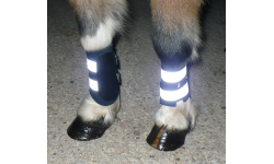 dbrefboo_night_1024x939