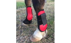 dpektene_red2_927x1024