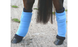 dplegpad__band_1044697633