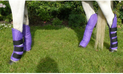 dpnytrbo_purp