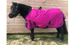 drclslodse_rasp_crrs