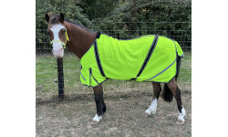 hi_viz_sheet2rs
