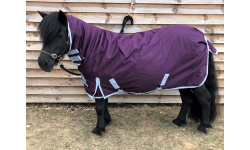 plum_combo_lucy1_rsx