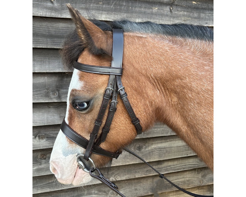 best_bridle2_crx