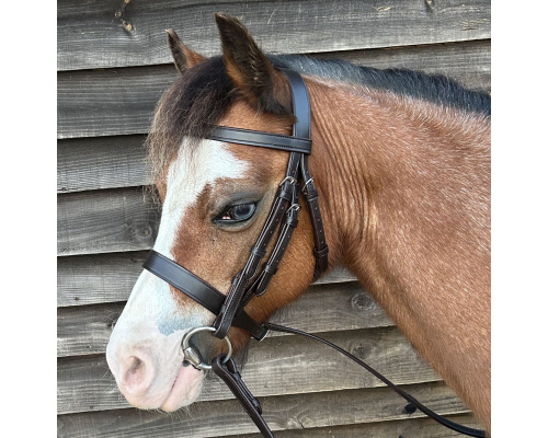 best_bridle3_crxx