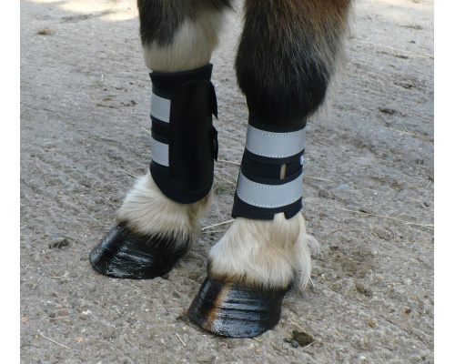 dbrefboo_cupid_1024x899