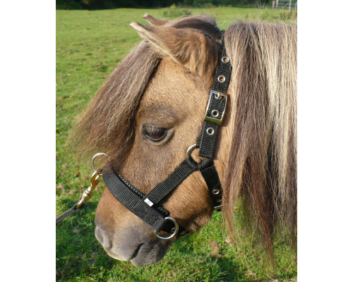 deluncav_dinky_438615796
