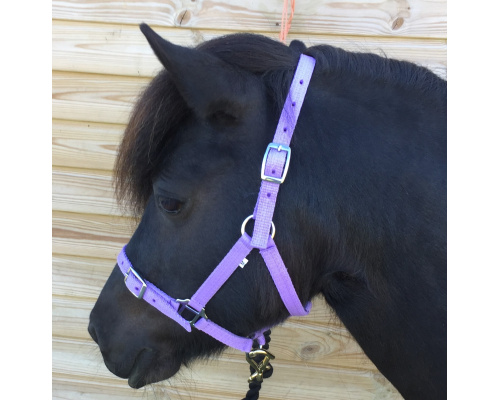 dhcledhe_lilac_924905180