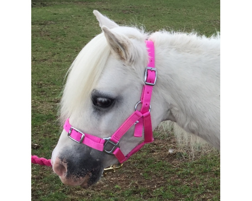 dhcledhe_pi_gem_best