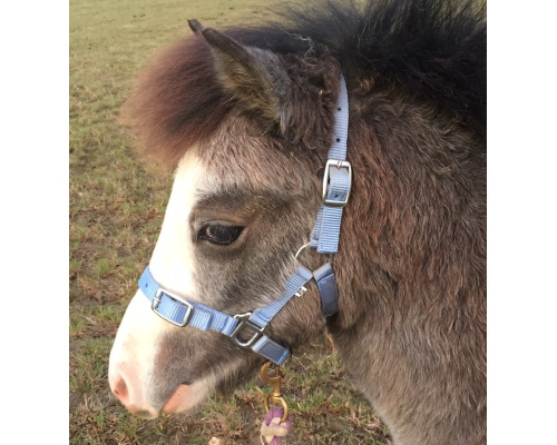 dhcledhe_sky_898x957