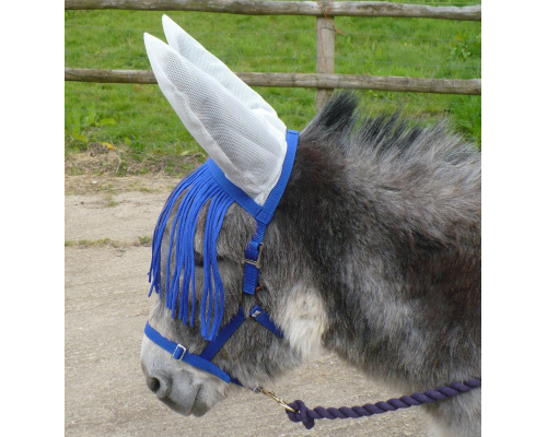 dhclshec_donkey_976x1024