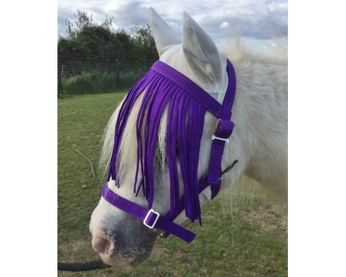 dhclshec_gem_purp_854x1024