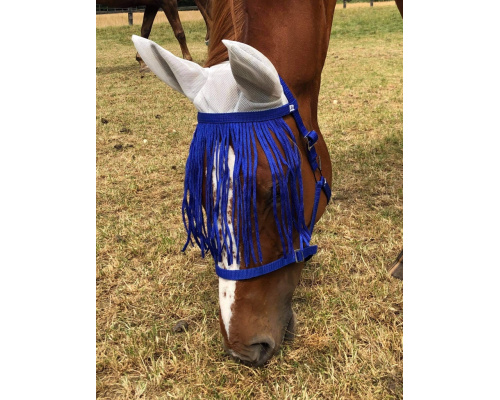 dhclshec_tupp_ry_786x1024