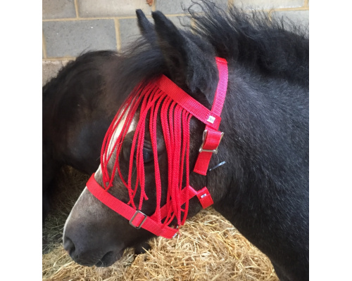 dhclshff_boris_rd_972x1024