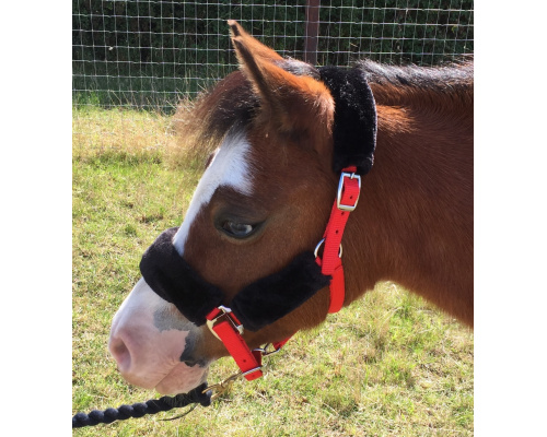 dhcomhea_red_bella_942x1024