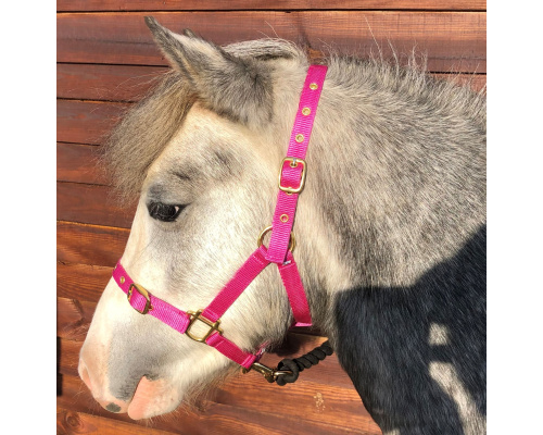 dhnylhea_cerise_crrs