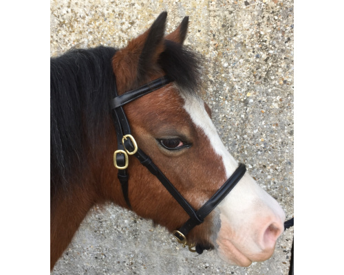 dlrashsl_bella2_907x1024