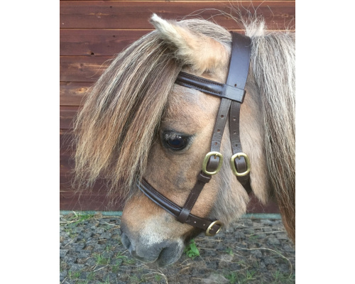 dlrashsl_dinky1_851x1024