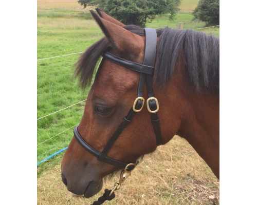 dlrashsl_ros1_910x1024