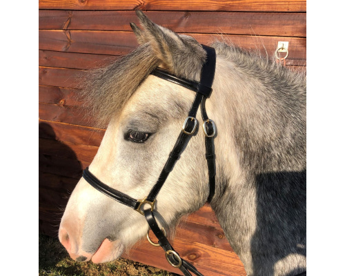 dlygshsl_new_bert_crrs