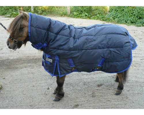 drclcqsr_dink_1024x735