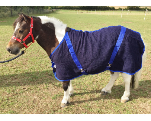 drclhcco_cupid_1024x733