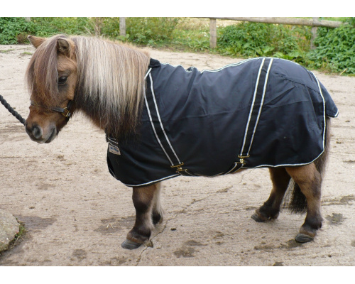 drclliss_dink_1024x720_558549143