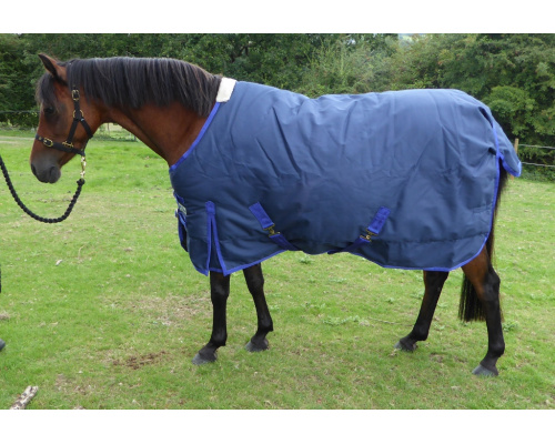 drclpaod_ros_1024x696