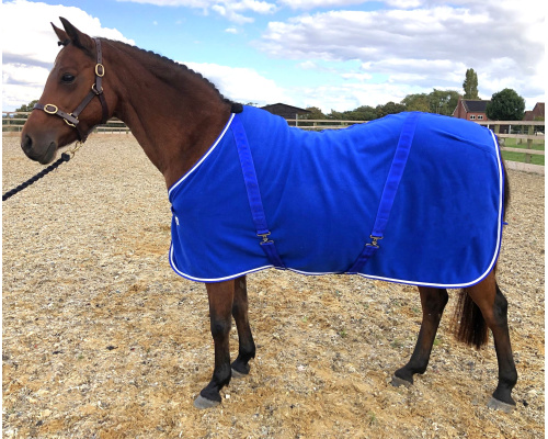 drclpofl__dacoltri_rsx