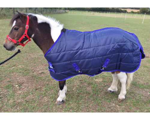 drclqust_cupid_1024x718