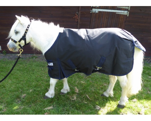 drclsmau_gem_1024x737