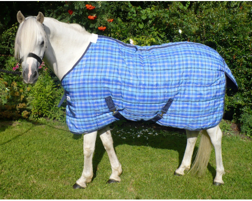 drclsssr_ryan_1883196543