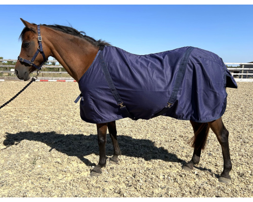 Dinky Classic Summer Sheet