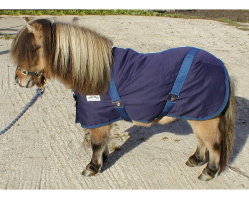 drclsush_dinky_984575280