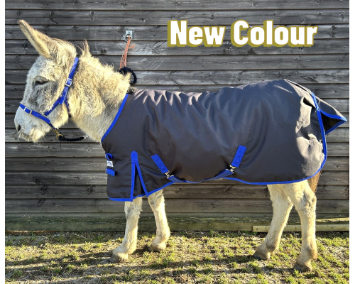 drclxdmw_gyry1crrs_text