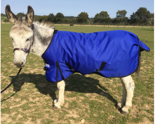 drclxdmw_ry2_1024x826_776750016