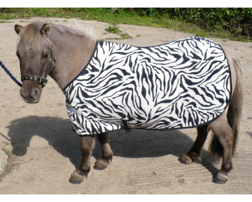 drnovfle_zebra