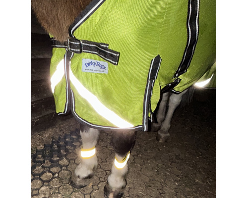 highviz3cr