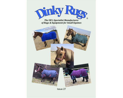 issue27_front_cover