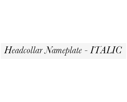 nameplate_font_italic_1516947047