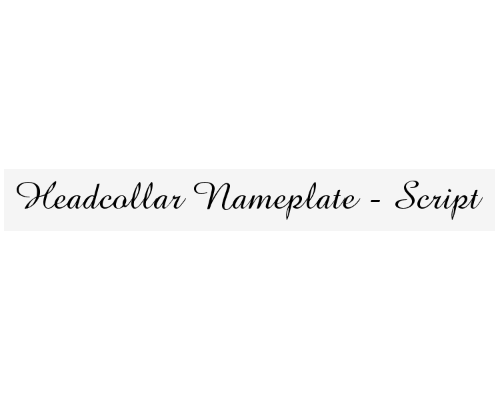 nameplate_font_script_1721161751